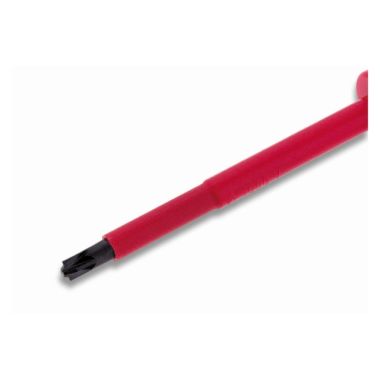 Tournevis speciale PZ/FL 1x 80