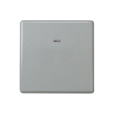 PULSADOR 10 AX 250V NEUTRO CON LUMINOSOGRIS