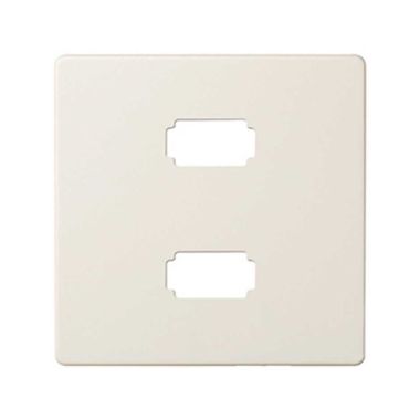 afdekplaat vr conn.2Xusb 2.0 Type A ivoor