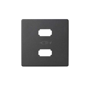 S82 Plaque Pour Chargeur 2x USB 5V Dc Type AGraphite