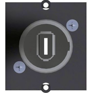 Module 1x Firewire 6pol. BCM-12