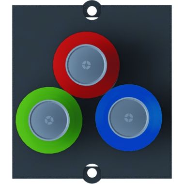 Module BNC jack / jack - rouge / bleue