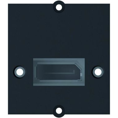 Module 1x Display Port