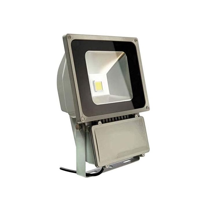 Éclairage - Bachmann - LED spotlight 80W. Power: 2m - 720.026