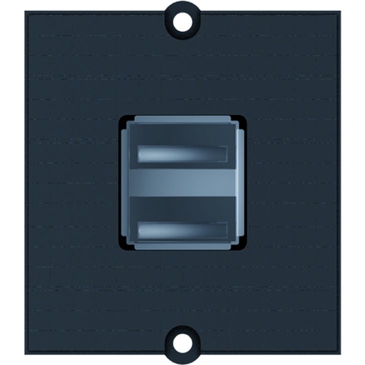 Électrification des bureaux et gestion des câbles - Bachmann - Module 2x USB A - 917.141