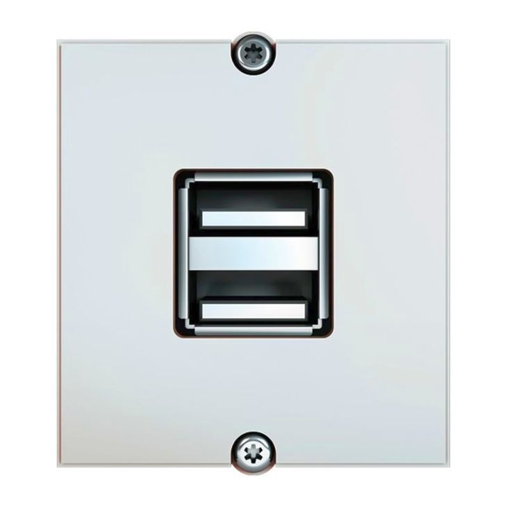 Kantoor elektrificatie en kabelmanagement - Bachmann - Module wit 2x USB A/A schroef bolt - 917.182
