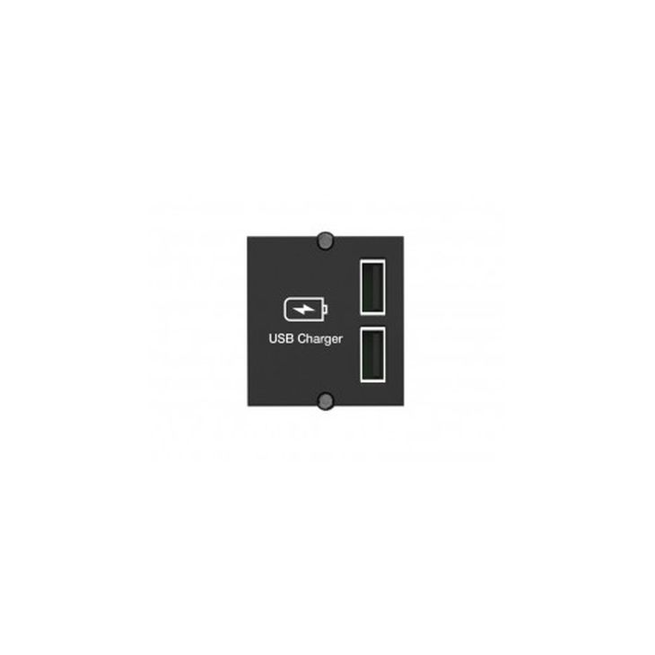 Kantoor elektrificatie en kabelmanagement - Bachmann - Module dubbel USB Charger 1x In / 2x Out - 917.224