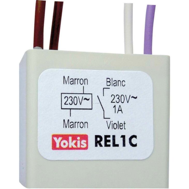 Smart home en building - REL1C Relais met spoel van 230V - AC / 0.1A - REL1C