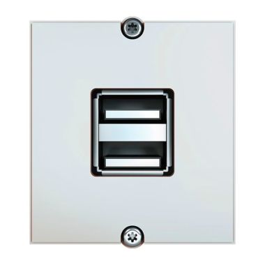 Électrification des bureaux et gestion des câbles - Bachmann - Module blanc 2x USB A screw bolt - 917.182