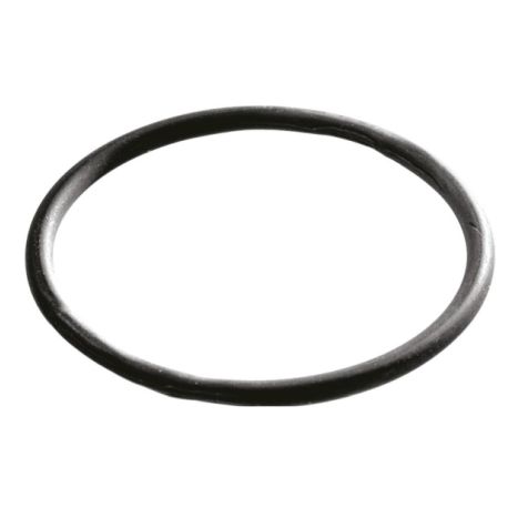 ORD-V 20 O Ring VITON SPRINT M20