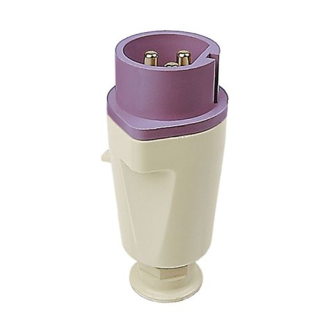 NORVO Stecker 32A 2P 42V 12h IP44