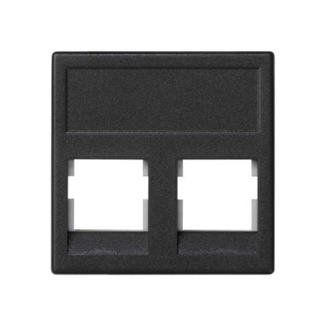 K45 Plaque VDM plate sans volet 2 x RJ 45 PanduitÂ® - Gris gr