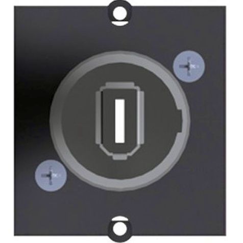 Module 1x Firewire 6pol. BCM-12