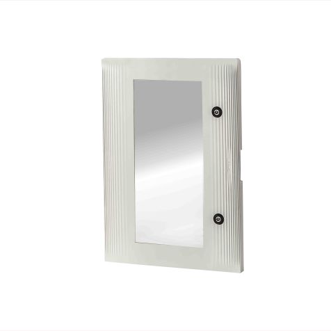 Porte de rechange (transparente) pour armoire murale en polyester L