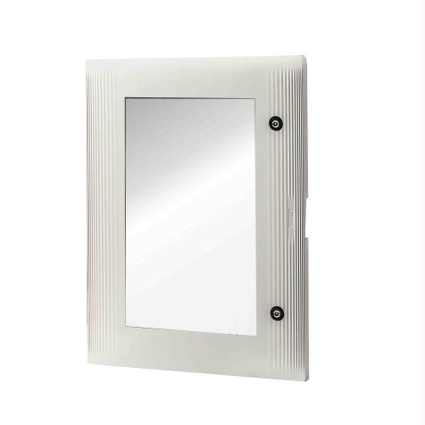 Porte de rechange (transparente) pour armoire murale en polyester XL