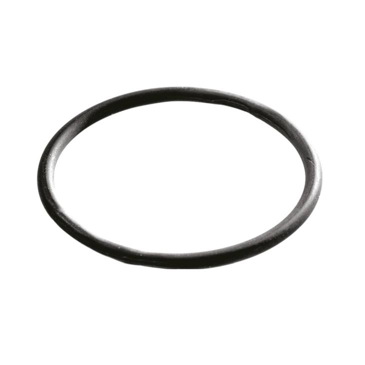ORD-V 63 O Ring VITON SPRINT M63