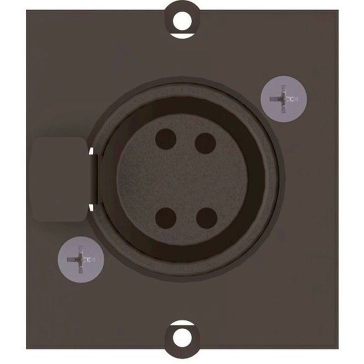 Module XLR 4-pôles jack