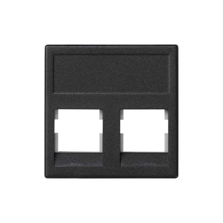 K45 Plaque VDM plate sans volet 2 x RJ 45 PanduitÂ® - Gris gr