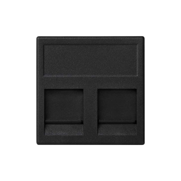 K45 Plaque VDM plate avec volet 2 x RJ 45 ITT CannonÂ® - Gris