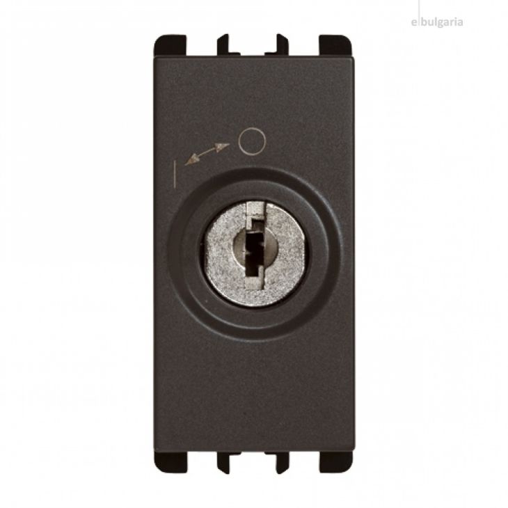 Standaard - Sleuteldrukknop  2P ( uitneembaar in pos 0), 10A, 1 mod, antraciet - SU10149