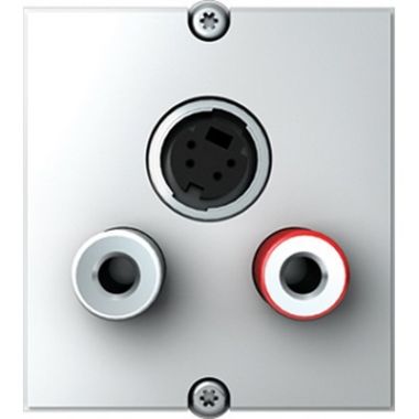 Module S-Video+Cinch Stereo
